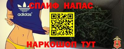 крисы Беслан