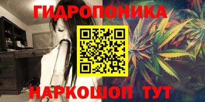 крисы Беслан