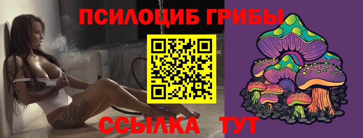 Галлюциногенные грибы Psilocybine cubensis  Вход с VPN  Изобильный  Псилоцибиновые грибы мухоморы 