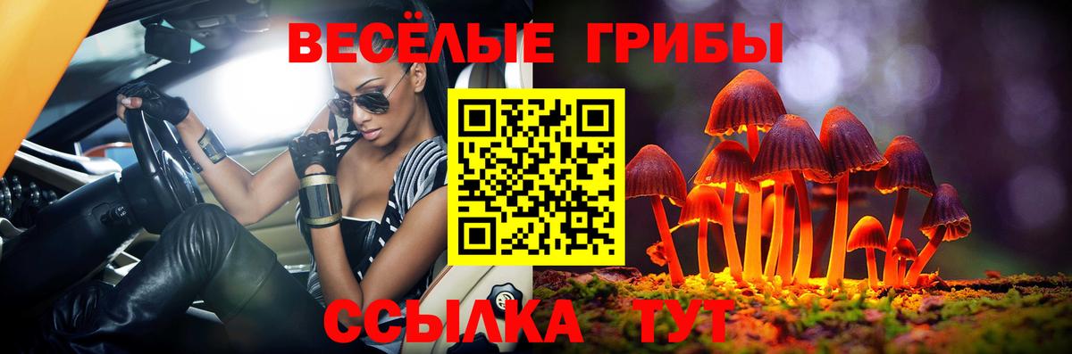 Псилоцибиновые грибы мухоморы Изобильный